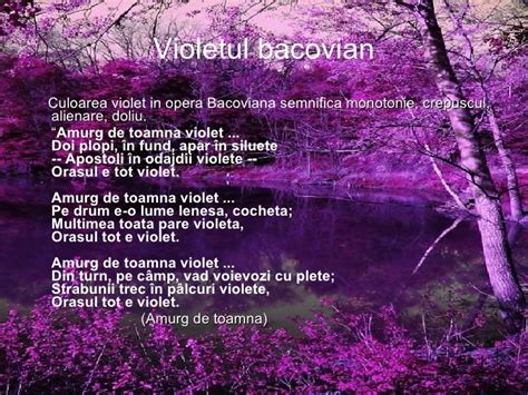 amurg de toamna violet tudor gheorghe|amurg violet lyrics.